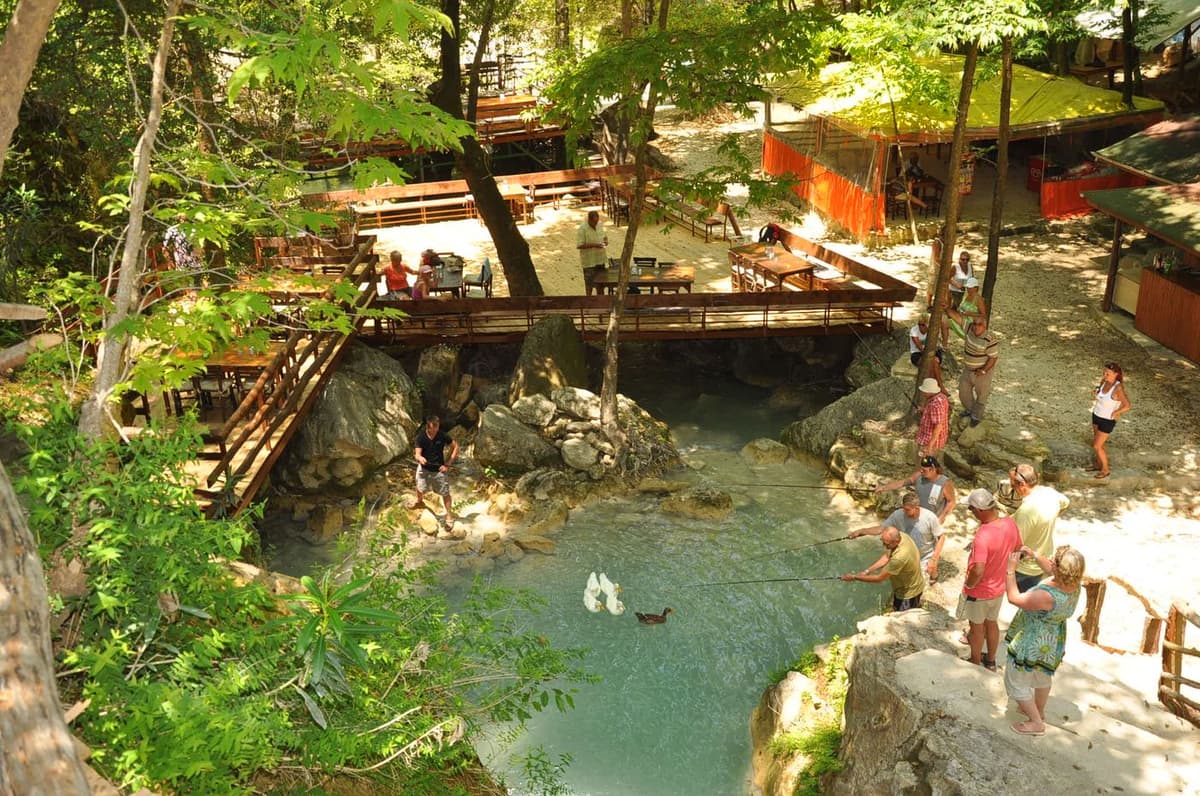 Dolphin Island Tekne Turu