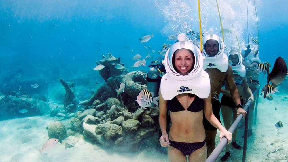 Tüplü Dalış (Scuba Diving) 2