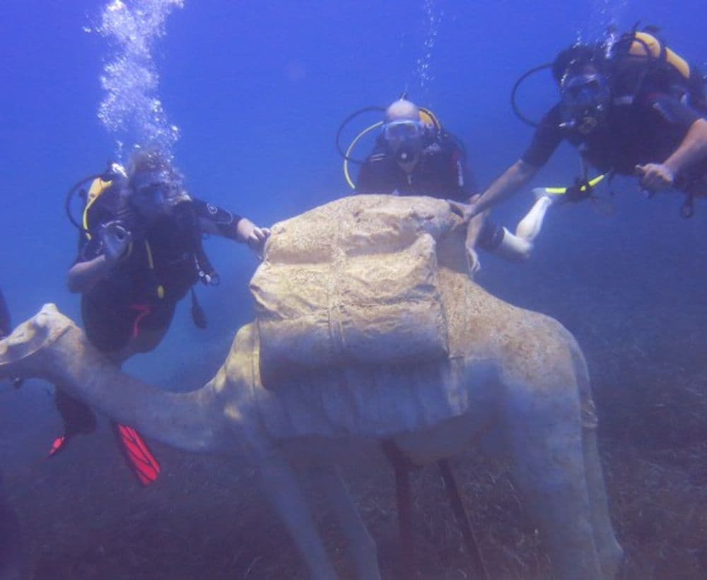 Tüplü Dalış (Scuba Diving) 4
