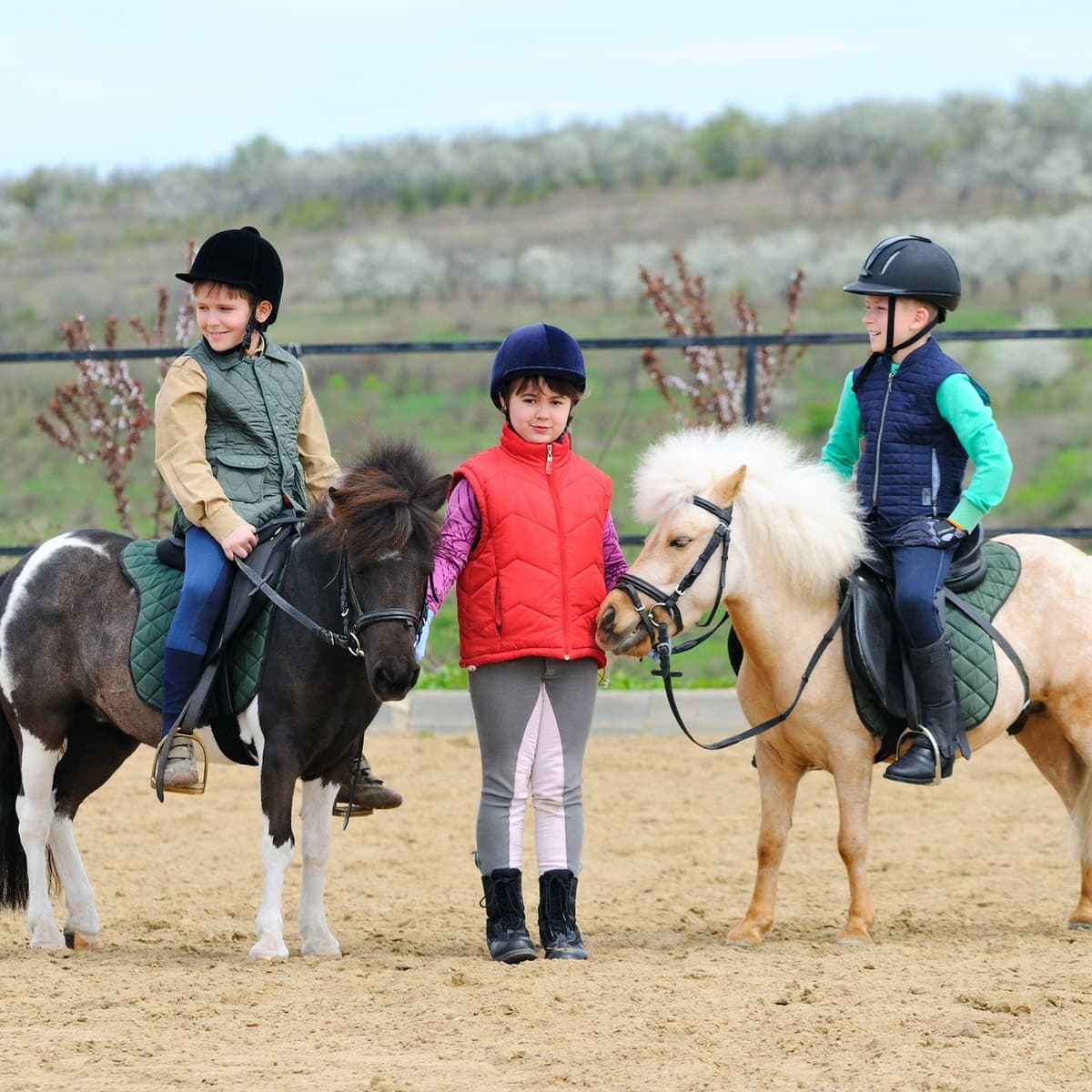 At Safari (Horse Riding) 3